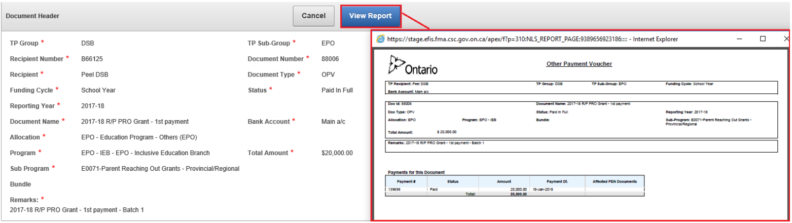 EFIS TP Reporting (Pre-Production): Document Report