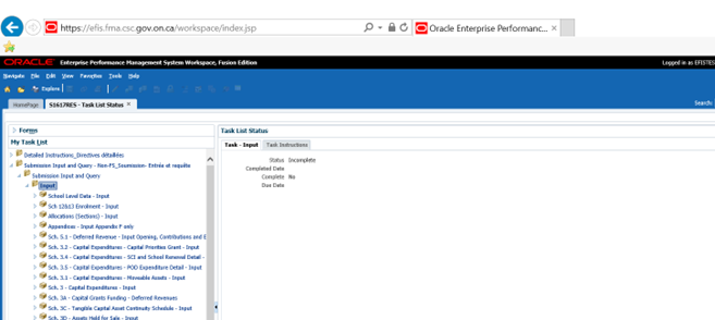 Displaying expanded data input forms