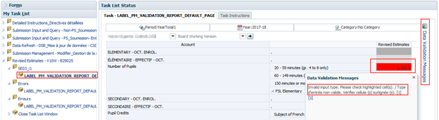 Shows an invalid input type error in section 3 input form