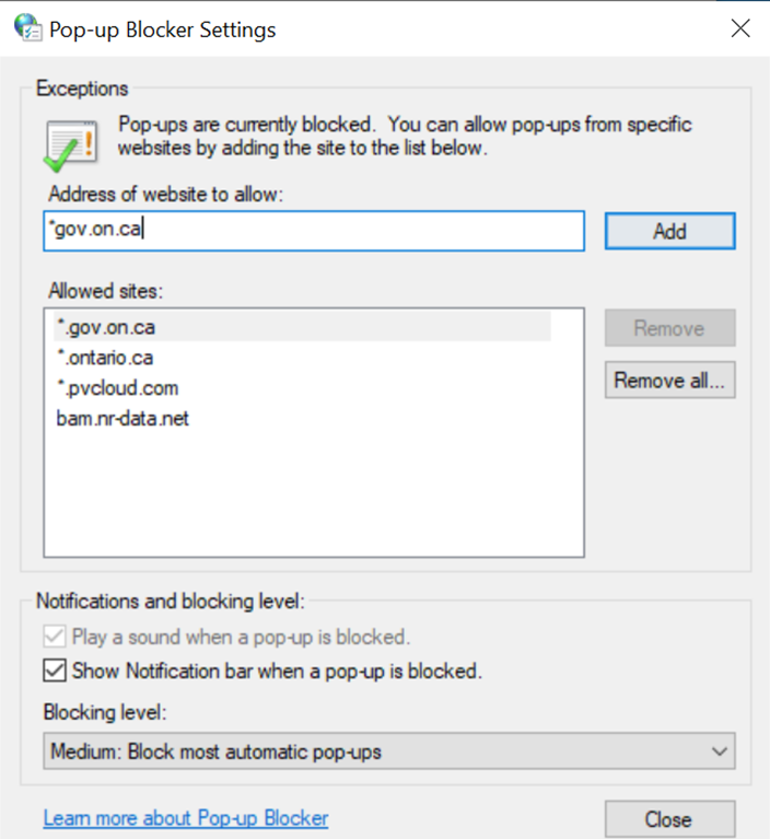 Adding *gov.on.ca as an exception for pop-up blocking