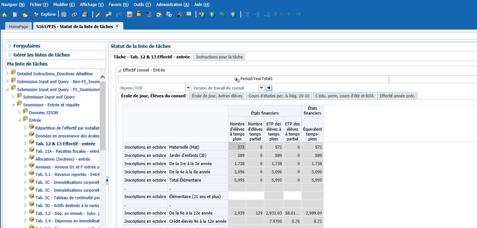 Exemple de formulaire de saisie de données au niveau du conseil