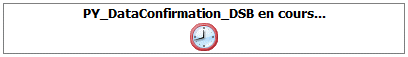 Affiche une fenêtre contextuelle indiquant: PY_DataConfrimation_DSB en cours…